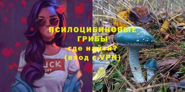 трава Кодинск