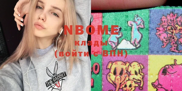 крисы Козельск