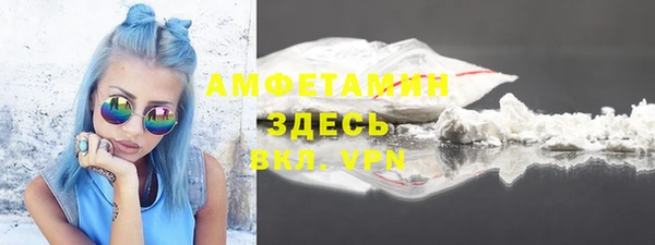крисы Козельск