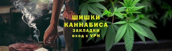 крисы Козельск