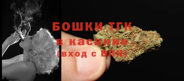 мдпв Козловка