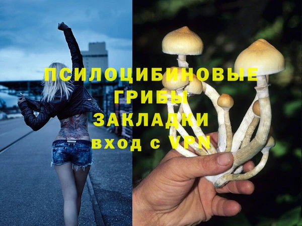 трава Кодинск