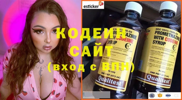 крисы Козельск