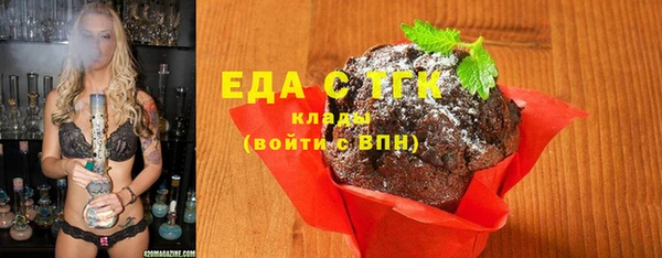 крисы Козельск