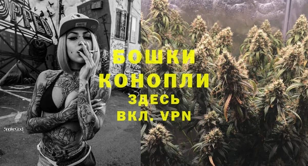 трава Кодинск