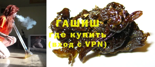 крисы Козельск