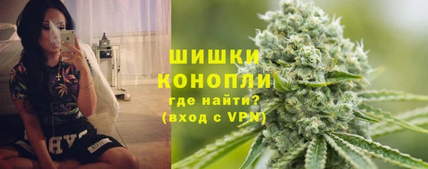 крисы Козельск