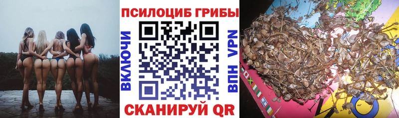 Псилоцибиновые грибы Cubensis  Купить закладки  Гаврилов Посад 