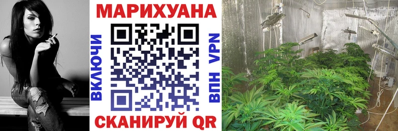 Конопля SATIVA & INDICA  Купить закладки  Гаврилов Посад 